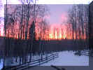 winter_sunrise1.jpg (52584 bytes)